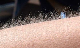 Perguntamos aos artistas sobre apresentações emocionantes que já assistiram