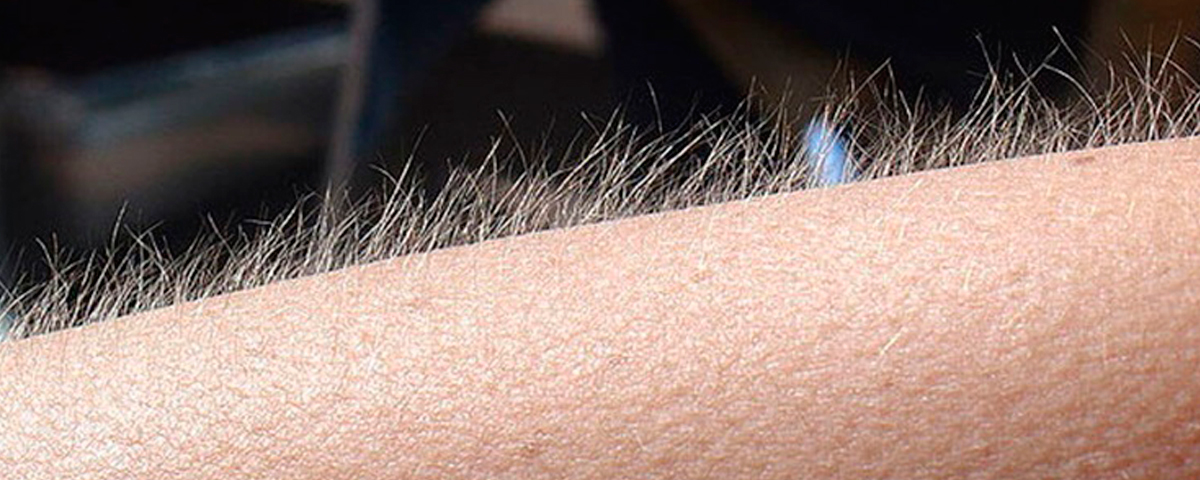 Perguntamos aos artistas sobre apresentações emocionantes que já assistiram