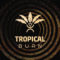 Tropical Burn vem ao País pela primeira vez e temos alguns detalhes