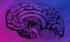 Dançar pode reverter os sinais de envelhecimento no cérebro