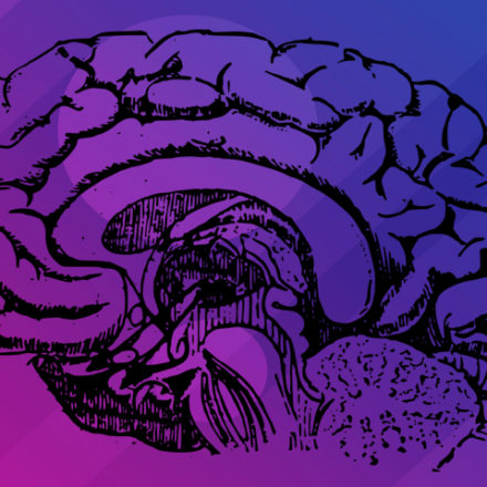 Dançar pode reverter os sinais de envelhecimento no cérebro