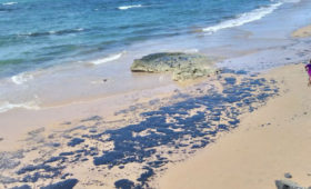 Universo Paralello divulga nota sobre vazamento de óleo que chegou em Pratigi