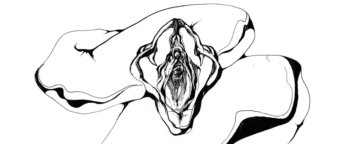 MAMBA NEGRA fará parte do festival queer WHOLE na Alemanha em 2020