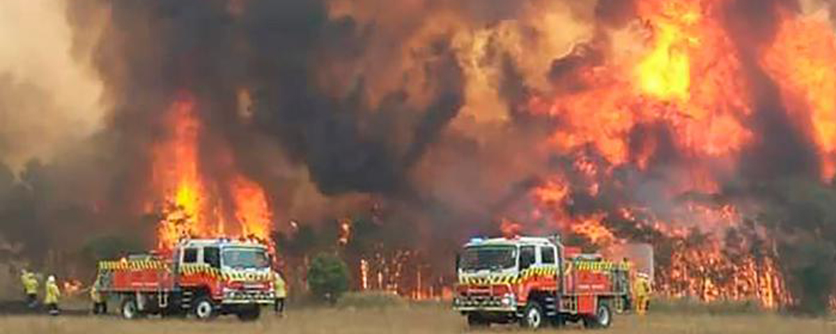 Artistas fazem doações para ajudar no combate ao fogo na Austrália