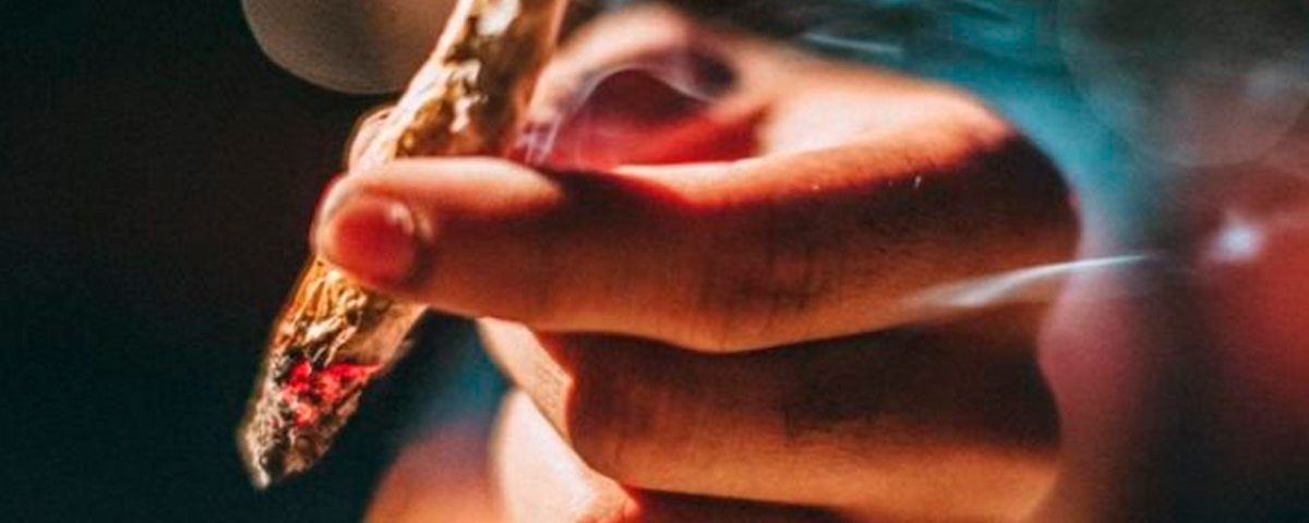 Nova York abrirá museu da maconha “house of cannabis”