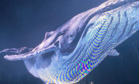 Inédito no Brasil, “Holo”, show de Eric Prydz, é espetáculo de luzes e projeções 3D