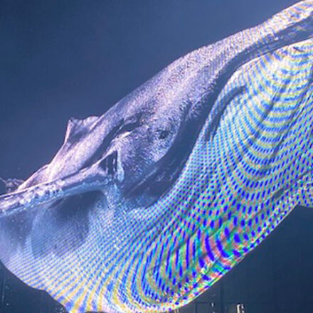 Inédito no Brasil, “Holo”, show de Eric Prydz, é espetáculo de luzes e projeções 3D