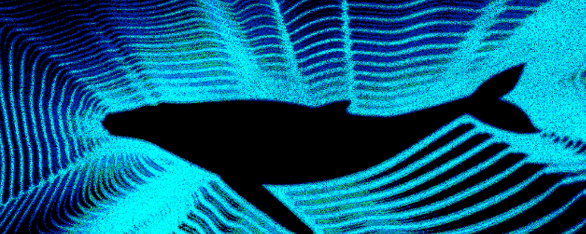 Como um biólogo marinho remixou o canto da baleia